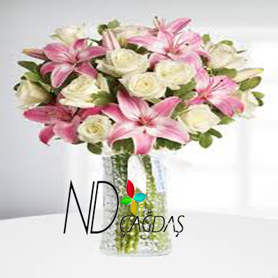 Lilyum ve Cam Arajman